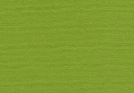 Allure Bookcloth Lime